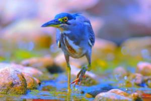 英格兰2021欧洲杯晋级之路,从普通到巅峰的蜕变之路英格兰2021欧洲杯晋级之路